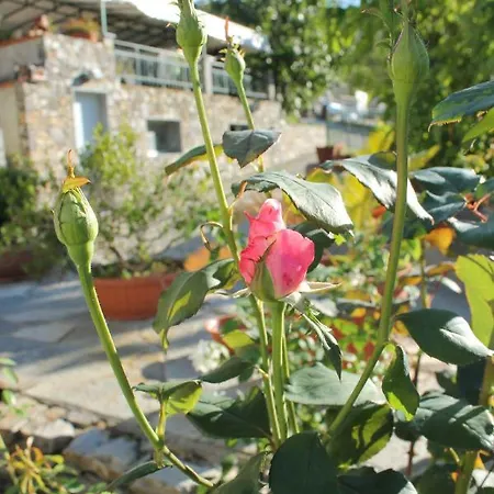 Ca Dei Fre جنوة